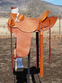 Stamped Saddles : Image 7